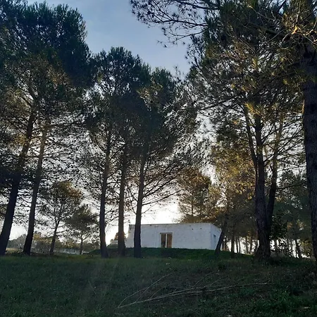 Puglia Essence By Italian Luxury Collection Villa